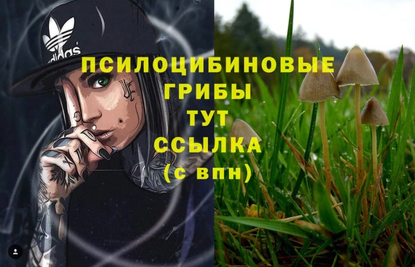 прущая мука Горнозаводск
