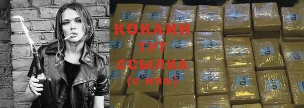 apvp Горно-Алтайск