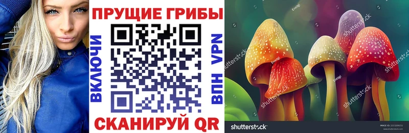 Галлюциногенные грибы мухоморы  Городец 